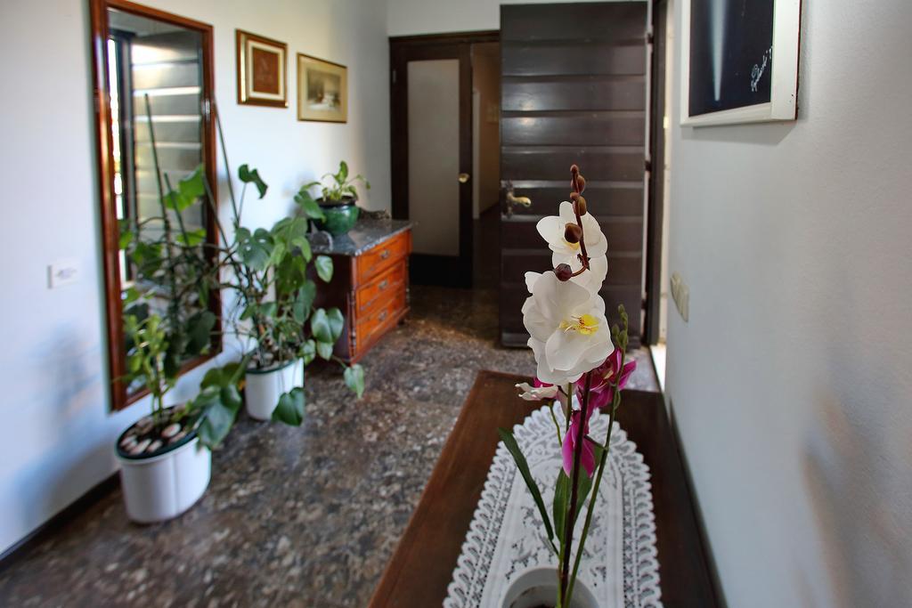 Andreja Apartment